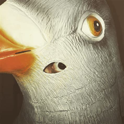 Cursedpigeon Mask Rcursedimages