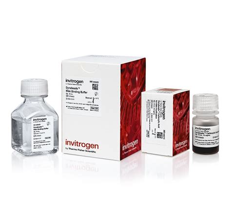 Invitrogen™ Dynabeads™ Rna Purification Kit Fisher Scientific