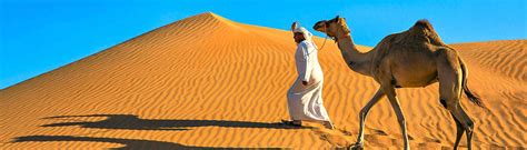 Beste Reisezeit Dubai Dein Guide F R Den Perfekten Urlaub