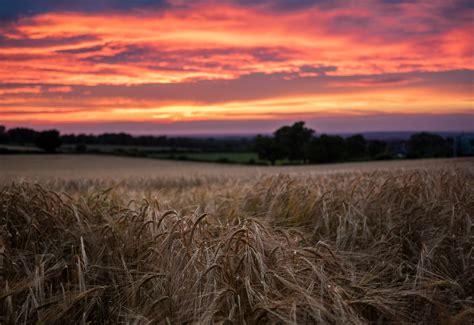 Free Images Landscape Nature Horizon Cloud Sky Sunrise Sunset