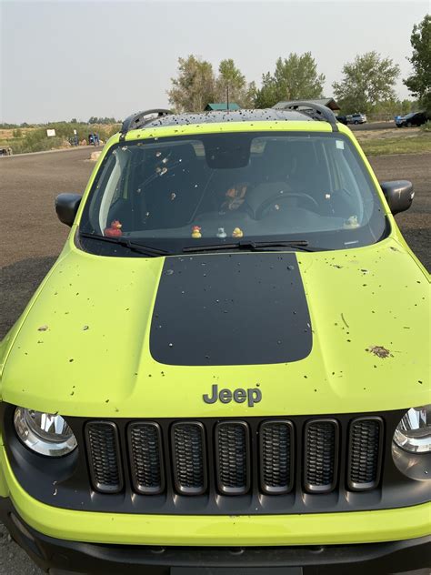 2018 Renegade Trailhawk Fueling Isssue : r/JeepRenegade