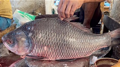 Incredible Cutting Skills Big Katla Fish Cutting By Expert Fish