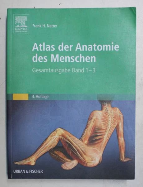 Atlas Der Anatomie Des Menschen Von Frank H Netter Atlas De