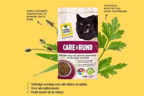 Vitalstyle Care Met Rund Kattenbrokken Online Kopen → Dierencompleet Nl