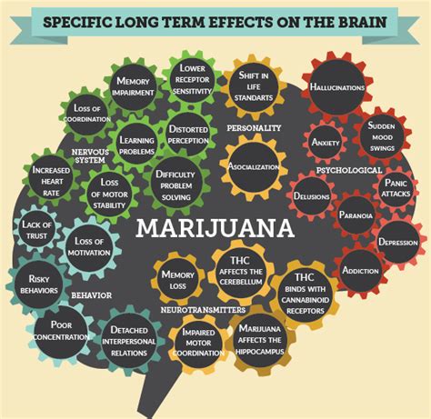 Marijuana Brain Effects