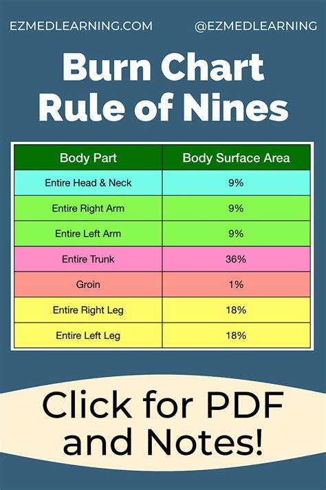 Rule Of Nines Burn Chart Children - Ponasa