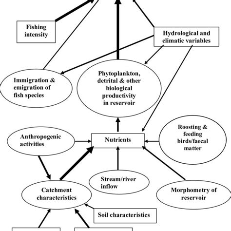 A Schematic Representation Of The Possible Interrelationships Amongst