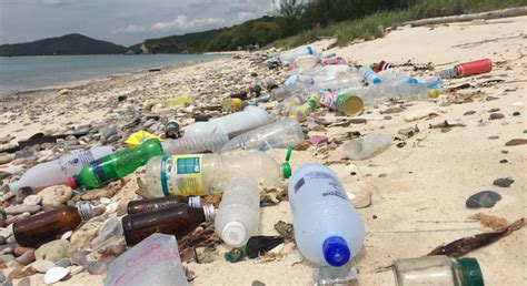 Beverage Giants Coke And Pepsi Driving Worldwide Plastic Crisis Study