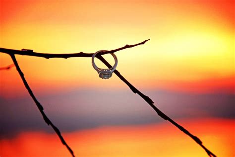 Fotos Gratis Paisaje Agua Rama Ligero Cerca Cielo Amanecer