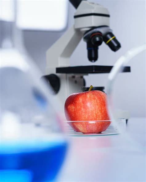 Pomme Rouge à La Sélection Dans Le Laboratoire Du Supplyfood