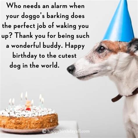 40 Super Cute Happy Birthday Wishes For Dog With Images