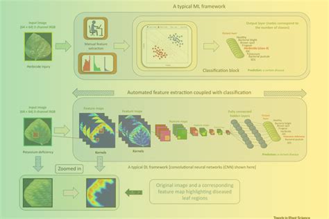 Deep Learning For Plant Stress Phenotyping Trends And Future