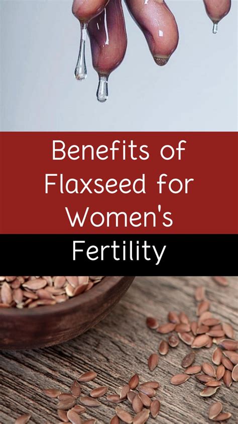 3 Benefits Of Flaxseed For Women’s Fertility Black Fertility Uses Of Flaxseed Flaxseed Oil