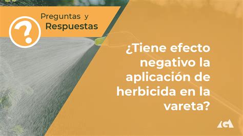 Tiene Efecto Negativo La Aplicaci N De Herbicida En La Vareta Gesmontes