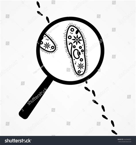 Cartoon Protozoa Ilustración Vectorial En Stock 262946591 Shutterstock