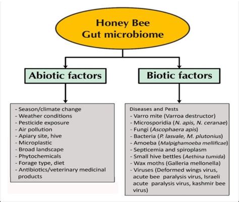 Abiotic And Biotic Stress Factors Affecting The Gut Microbiome