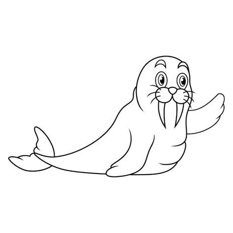 Premium Vector Cartoon Walrus On White Background Line Art