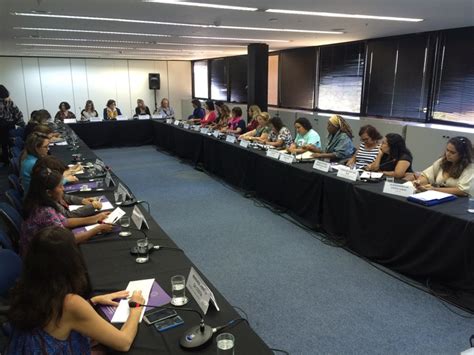 Conselho Nacional Dos Direitos Da Mulher Debate A Es E Programas Para