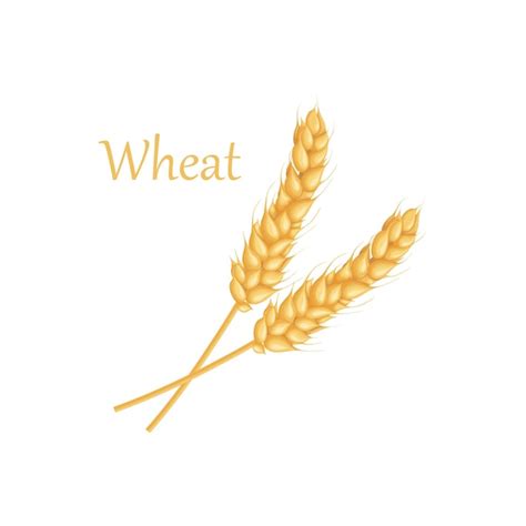 Premium Vector An Ear Of Wheat Two Ears Of Wheat Cereal Plants