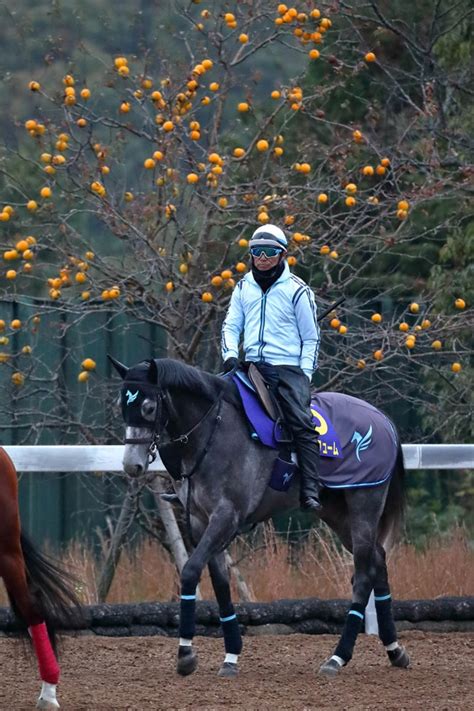 日曜中京の注目激走馬中京11rチャンピオンズカップ・g1 Umatoku 馬トク