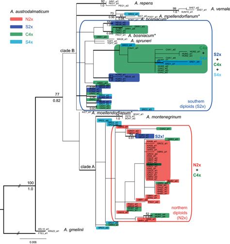 Maximum Likelihood Ml Phylogenetic Tree Based On Det1 Sequence Data