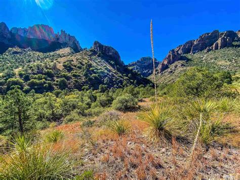 Big Bend Guide Pine Canyon Trail