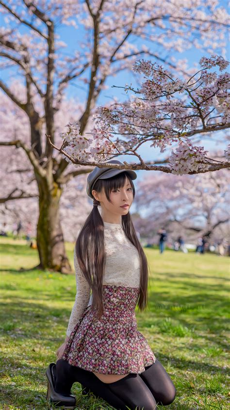 On Twitter Portrait Cherry Blossom Photo Toumi Pi