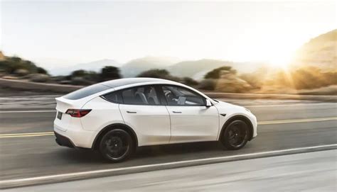 Tesla Model Y : 2020 Updates And Everything You Need To Know