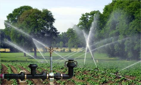 How much water does a residential irrigation system use? | Theranthole.com