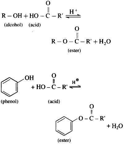 What is esterification? How is an ester obtamed from alcohol or phenol? - Sarthaks eConnect ...