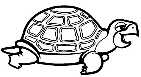 Tortuga Para Colorear