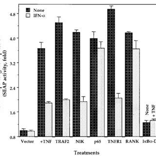 Ifn Inhibits Nf B Dependent Reporter Gene Expression Induced By Tnf