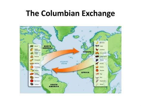 Ppt The Columbian Exchange Powerpoint Presentation Free Download