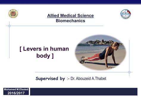 Levers In Human Body Ppt