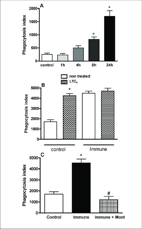 Phagocytosis Assay Of Red Blood Cells Opsonized With IgG And Evaluation