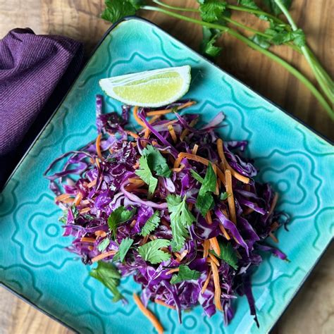 Purple Cabbage Slaw Gut Haven