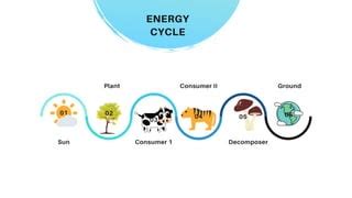 Energy cycle | PPT