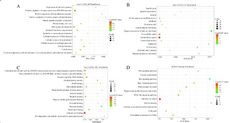 Go And Kegg Analysis Of The Overlapping Degs In Oc A Biological