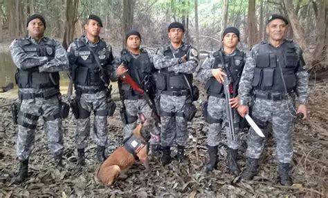 Cão policial pastor Belga Malinois põem fim a caçada ao brasileiro