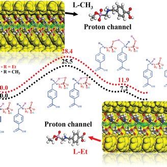 A Proton Conduction Pathway In Lh Along The C Axis B Impedance