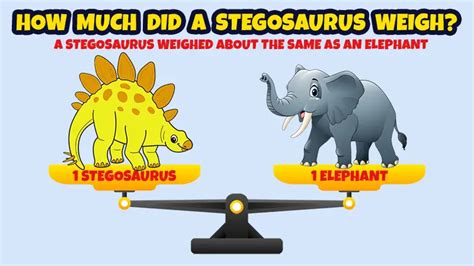 15 Stegosaurus Facts You Probably Didn't Know