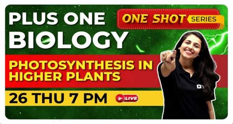 Solution Class Biology Photosynthesis In Higher Plants Studypool