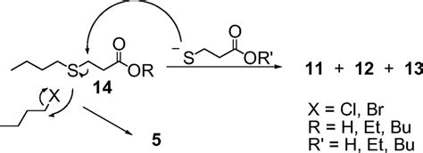 Scheme A Possible Path For The Formation Of Side Products In The