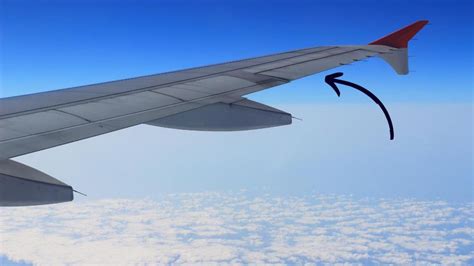 The parts of an airplane wing and how they work