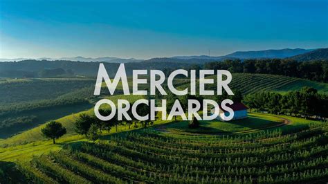 Hard Cider - Mercier Orchards