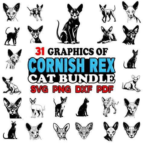 Cornish Rex Cat Bundle Svg Png Dxf Pdf Instant Digital Downloads Etsy