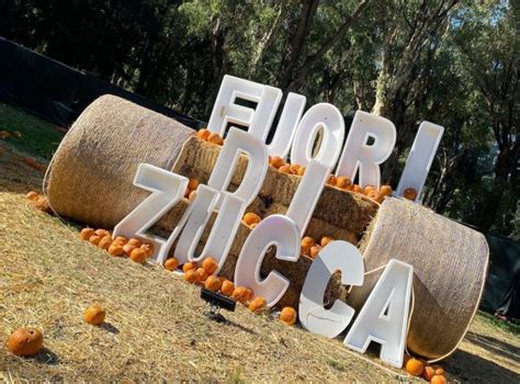 Successo Ed Emozioni Con Fuori Di Zucca Alla Mostra D Oltremare Fino Al