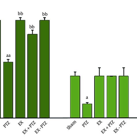 GDNF Distribution In Hippocampal Regions A Immunofluorescent