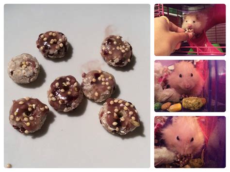 Recipes For Hamster Treats - Find Vegetarian Recipes