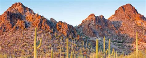 Arizona Sun Catchers Chapter Rally Newmar Kountry Klub